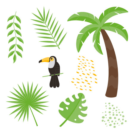 Cute children's animals set isolated on a white background â toucan, liana, leaves, palm tree. Flat vector illustrations for children.のイラスト素材