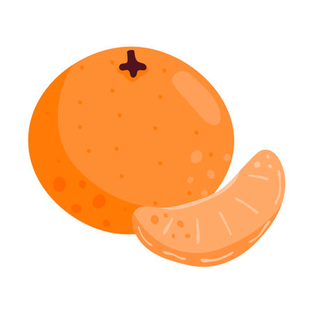 Mandarin. Tangerine. Whole fruit and a slice. Citrus fruits. Juicy fruit. Vector illustration is isolated on a white background.のイラスト素材