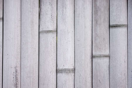 Pale bamboo wallの写真素材