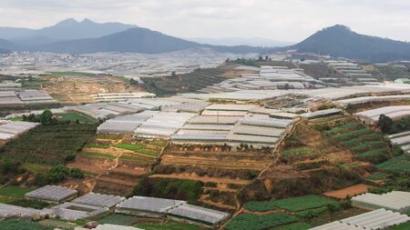 Flower nursery in DalatVietnam