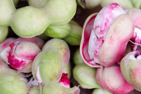 Closeup of Manila tamarindの写真素材