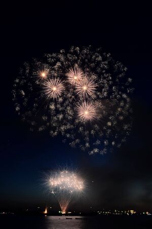 Fireworks: burst of the cotton seedsの写真素材