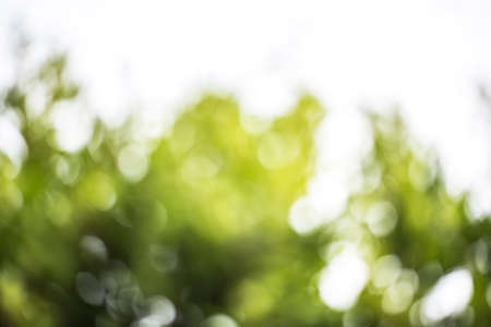 Abstract nature backgroundの写真素材