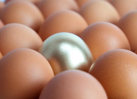 Golden egg: a concept that is outstanding and different from other chicken eggs in the same trayの写真素材