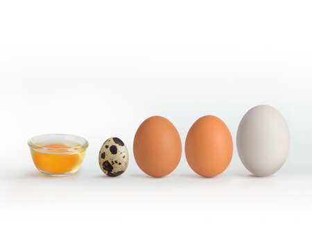 3 types of eggs concept on a white background: duck egg, chicken egg, quail egg. Placed to show...