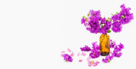 Purple flowers on brown bottle isolated on whiteの写真素材