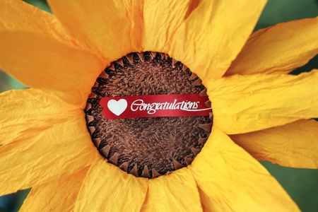 paper sun flower and congratulations tag.の写真素材