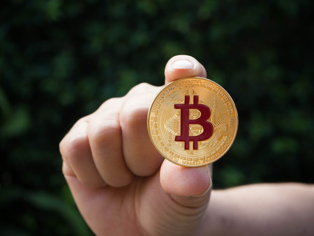 Bitcoin coin business concept. Bitcoin cryptocurrency. Bitcoin coin electronic money model.の写真素材