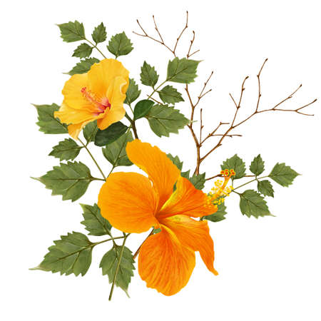 illustration of beautiful flower on white backgroundの写真素材