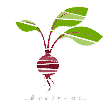 Vector of vegetable, beetroot icon on isolated white backgroundのイラスト素材