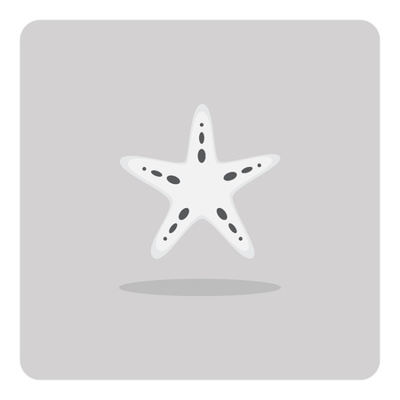 Vector of flat icon, starfish on isolated backgroundのイラスト素材