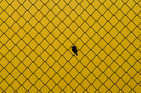 Bird cageの写真素材