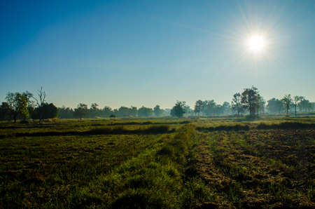 sunshineの写真素材