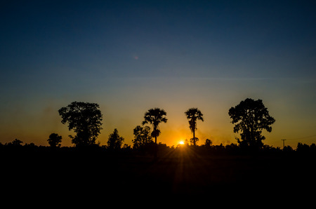 the morning sun silhouetteの写真素材