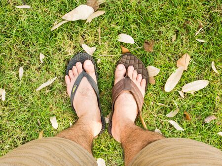 slippersのeditorial素材