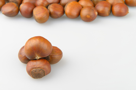 Chestnut close up shootの写真素材