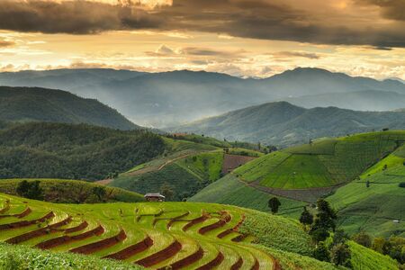 Terraced rice and landscape  Chiang Mai, Thailand