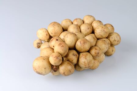 Wollongong is tropical the fruit.の写真素材