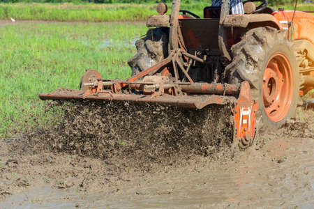 Agricultural rice field with tractor with nature background.の写真素材