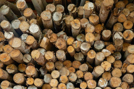 A pile of stacked firewood, prepared for heating the house, Firewood harvested for heating in...