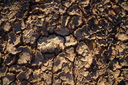 Texture of dry and dehydrated ground surface with cracks.
