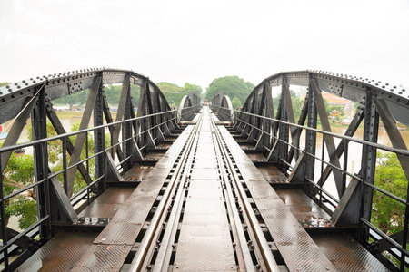 Isolated green tree on white background, Trees isolated on white background, tropical trees isolated used for design, advertising and architecture.の写真素材