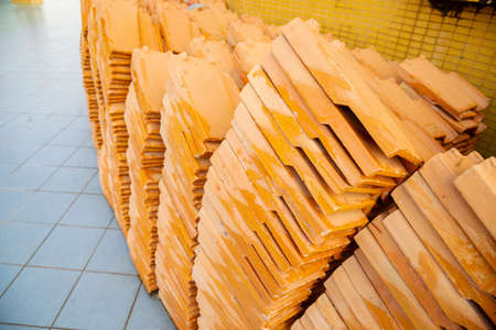 Isolated green tree on white background, Trees isolated on white background, tropical trees isolated used for design, advertising and architecture.の写真素材