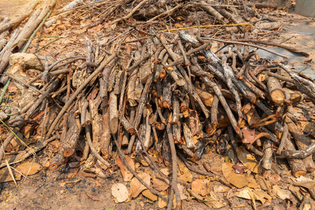 Preparation of firewood for the winter. firewood background, Stacks of firewood in the forest. Pile of firewood.の写真素材