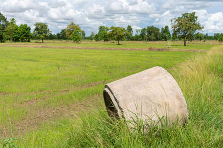 Old broken concrete cement pipe in grass,  Old concrete pipes, Cracked and deteriorated sewer pipes...