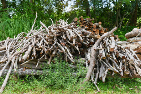 A pile of stacked firewood, prepared for heating the house, Firewood harvested for heating in winter, Chopped firewood on a stack, Firewood stacked and prepared for winter Pile of wood logs.の写真素材