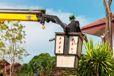 Worker with chainsaw in truck tower basket cutting branches. Tree surgeon in lifting bucket using...