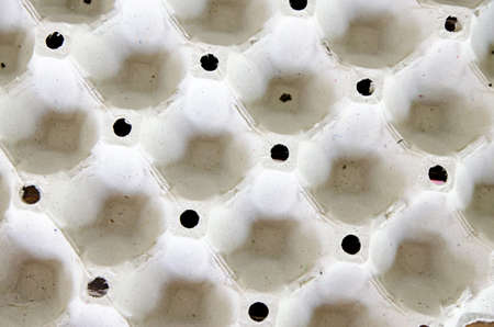 tray for eggs isolated,soft focusの写真素材