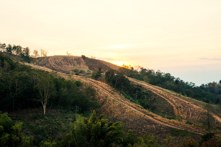 mountain with sunset,forest at aridの写真素材