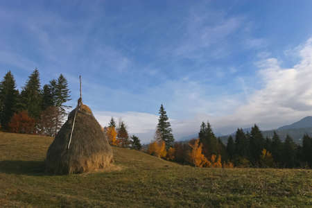 a hill of autumn and a blue skyの写真素材