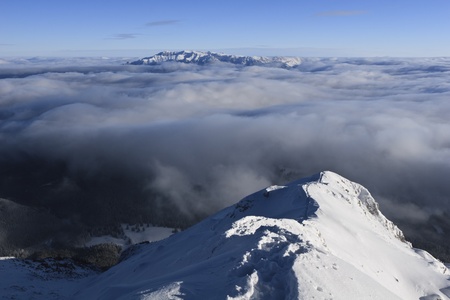 a winter landscape with a mountain background