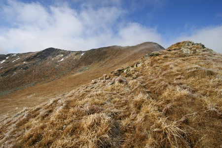 dry and ice grass on a mountain top