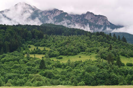 green forest near a mountain in clouds
