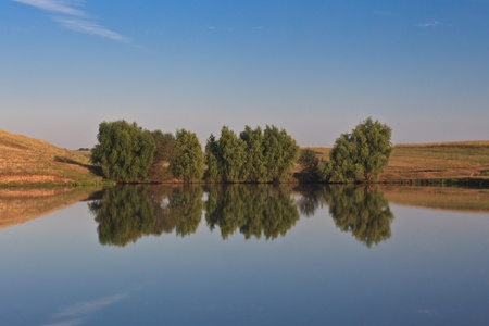 reflection of trees on a blue lake