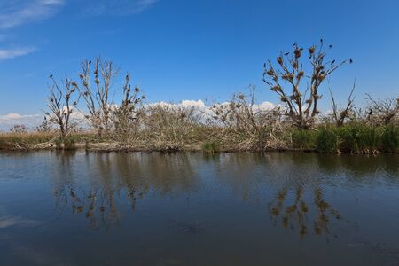 a river channel in Danube Delta, Romaniaの写真素材