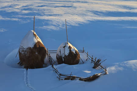 yellow haystack on a field in winterの写真素材