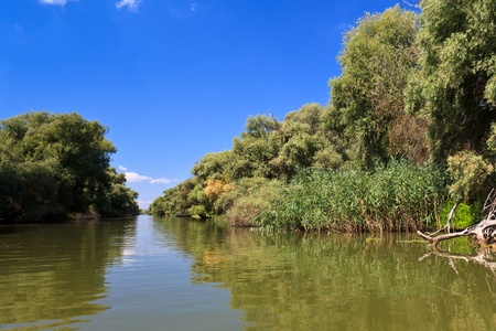 a small river channel in the Danube Delta