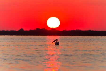 a beautiful sunrise in the Danube Delta, Romaniaの写真素材