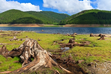 Landscape from Vidra Lake in Romanian Carpathians mountains in a summer day の写真素材