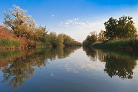 reflection of trees on a blue lake, Danube Delta, Romaniaの写真素材