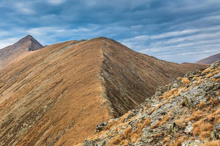 Landscape in Charpathian Mountains of Moldoveanu, the highest summits of Romania (Moldoveanu 2544 m)の写真素材