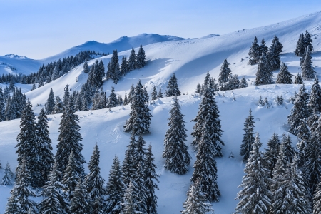 winter landscape in the Carpathian Mountains. Ciucas Mountains, Romaniaの写真素材