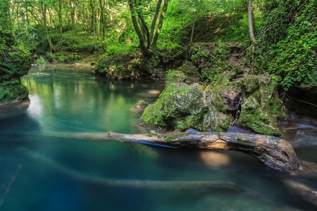 Beusnita stream  in Beusnita National Park, Romaniaの写真素材