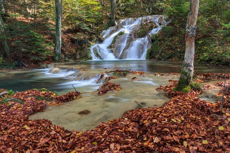 Beusnita stream in Beusnita National Park, Romaniaの写真素材
