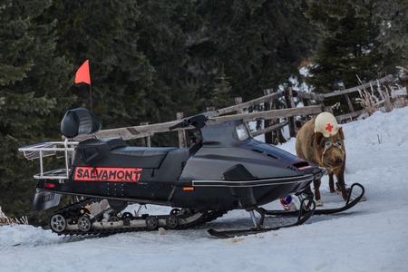 snowmobile in winter mountain. Postavaru Mountains, Romaniaのeditorial素材