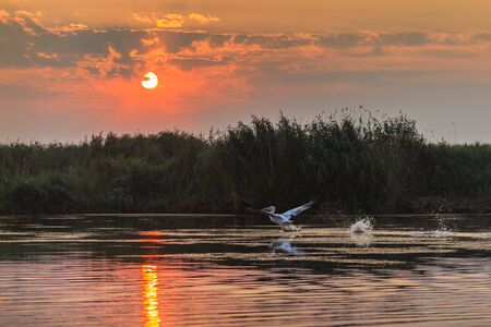 a beautiful sunrise in the Danube Delta, Romaniaの写真素材